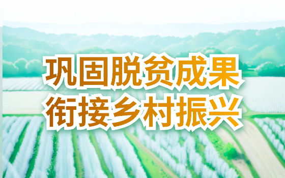 鞏固拓展脫貧攻堅成果 銜接鄉村振興